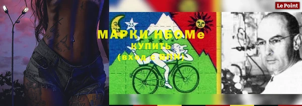 молекула духа Алзамай