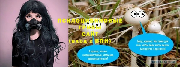 гидропоника Алексеевка