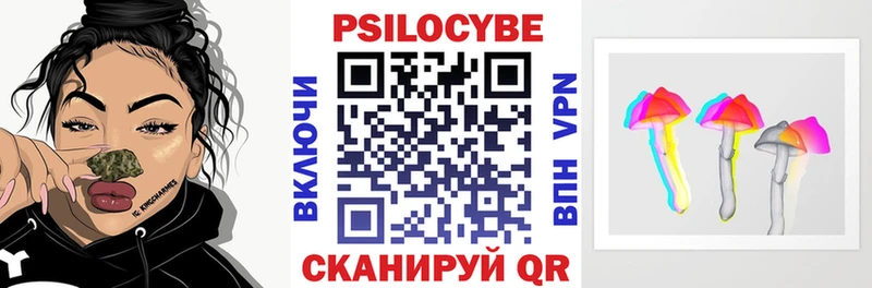 Галлюциногенные грибы Psilocybine cubensis  Чадан 